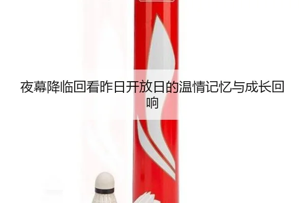 夜幕降临回看昨日开放日的温情记忆与成长回响